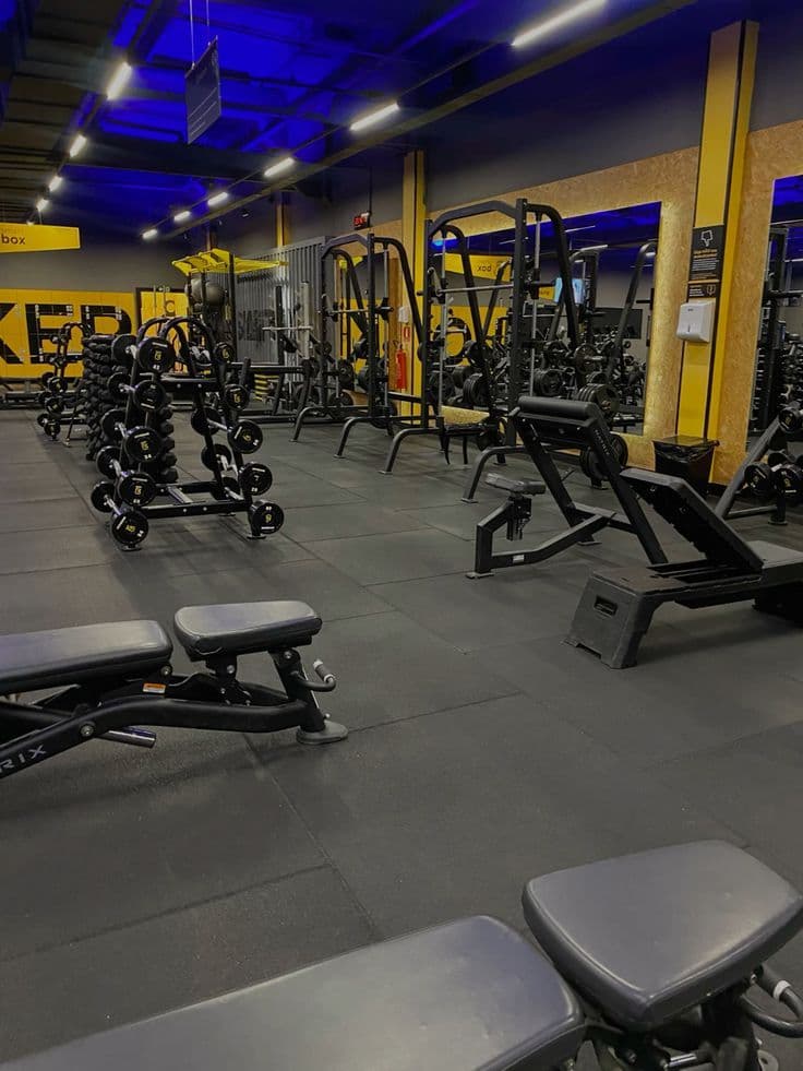 Fitness & Wellness Time